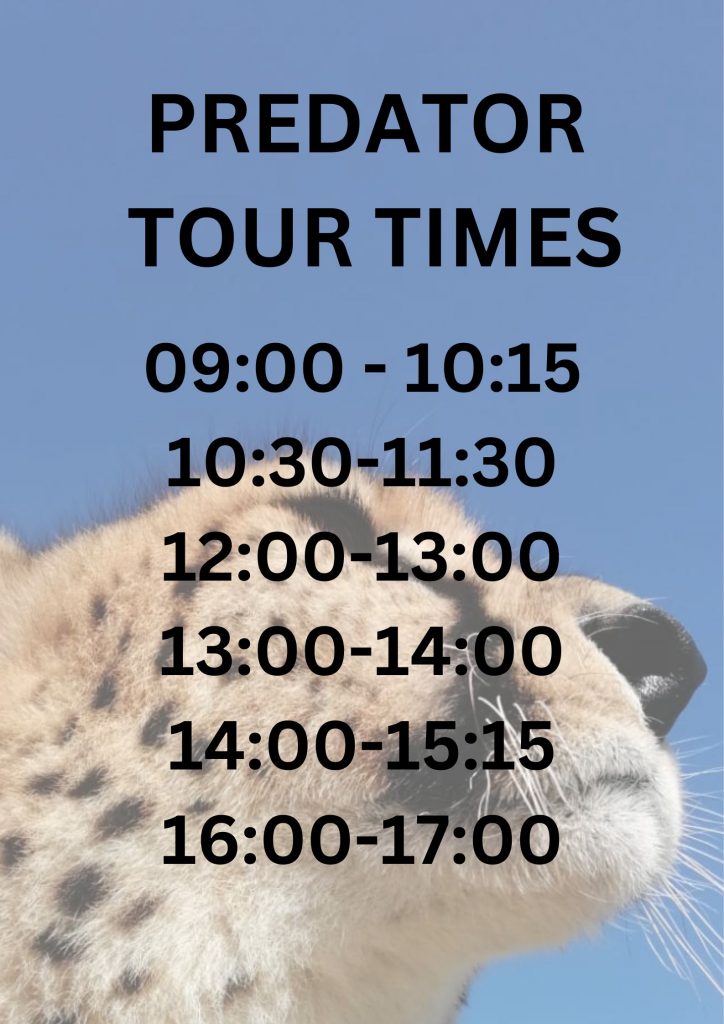 Daniell Cheetah Project Tour Times